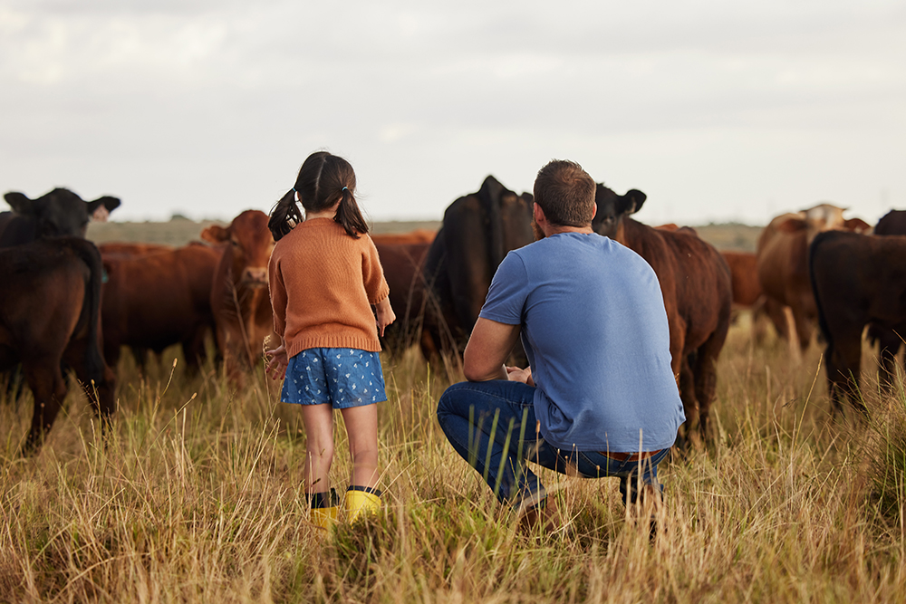 Agricultural Loans
